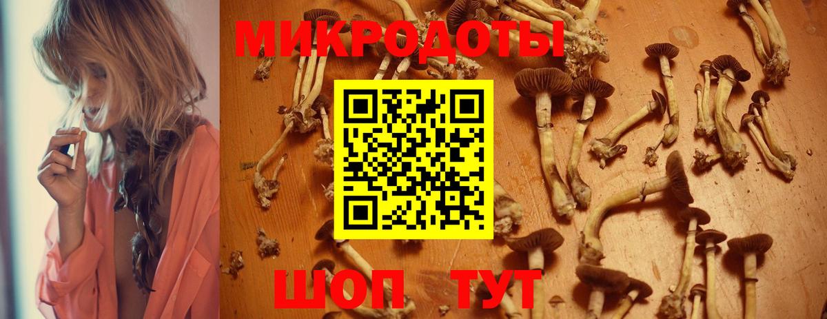 где можно купить наркотик  Галлюциногенные грибы Psilocybe  Вход с VPN  Ревда 